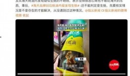 关于海天爆料的新闻,揭秘食品行业潜规则与消费者权益保护