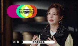 娱乐圈乱象爆料,真相与反思